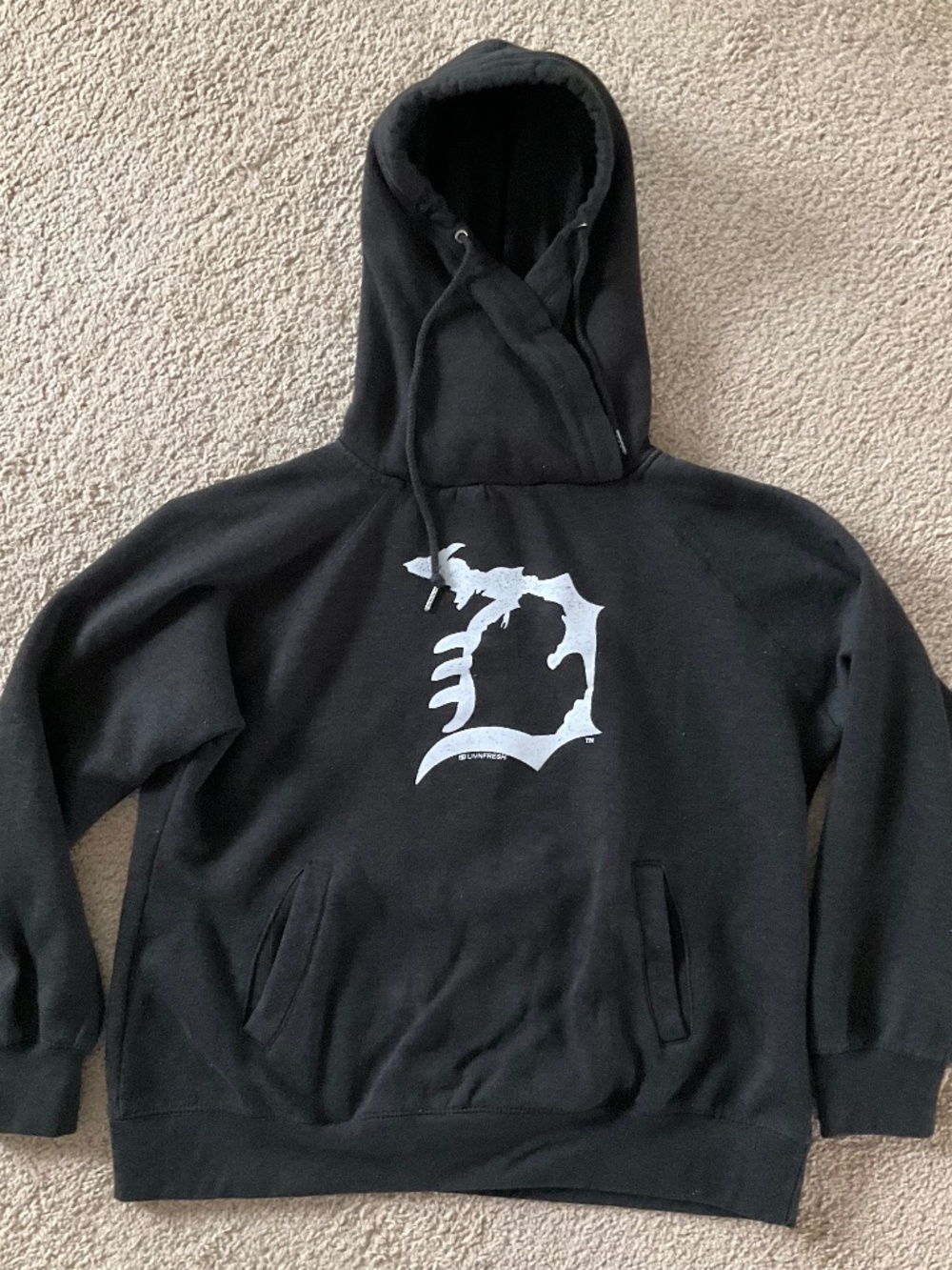 Michigan-Detroit Hooded Sweatshirt